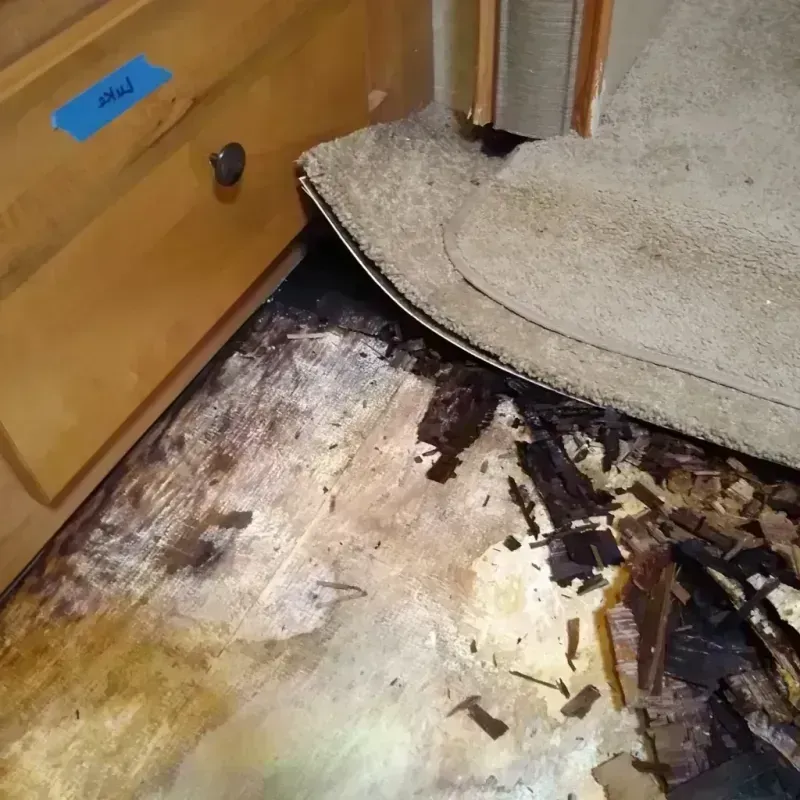 Wood Floor Water Damage in Miami Gardens, FL